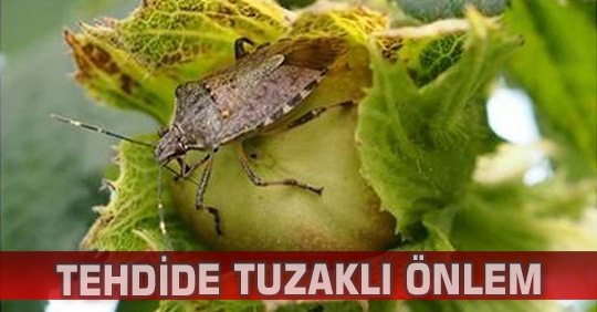 TEHDİDE TUZAKLI ÖNLEM