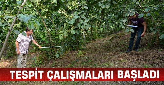 TESPİT ÇALIŞMALARI BAŞLADI