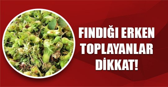 FINDIĞI ERKEN TOPLAYANLAR DİKKAT!