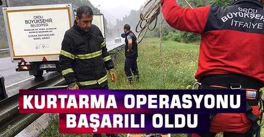 KURTARMA OPERASYONU BAŞARILI OLDU