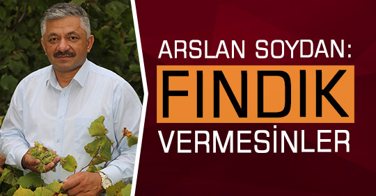 SOYDAN: FINDIK VERMESİNLER