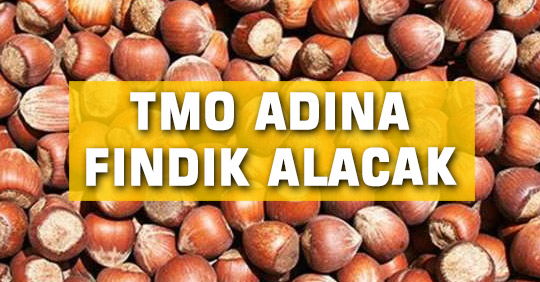 TMO ADINA FINDIK ALACAK
