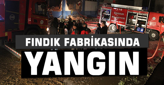 FINDIK FABRİKASINDA YANGIN