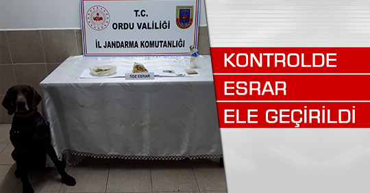 Kontrolde Esrar ele geçirildi