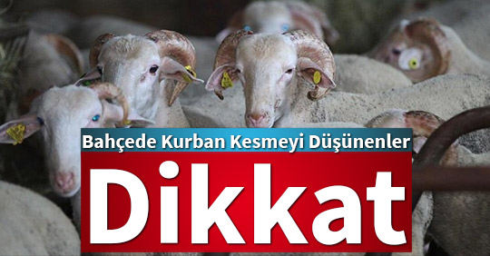 Bahçede Kurban Kesmeyi Düşünenler Dikkat