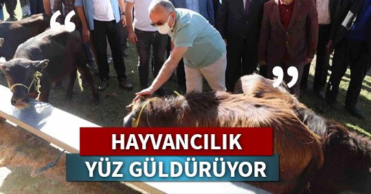 HAYVANCILIK YÜZ GÜLDÜRÜYOR