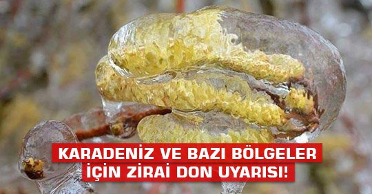 KARADENİZ İÇİN ZİRAİ DON UYARISI!