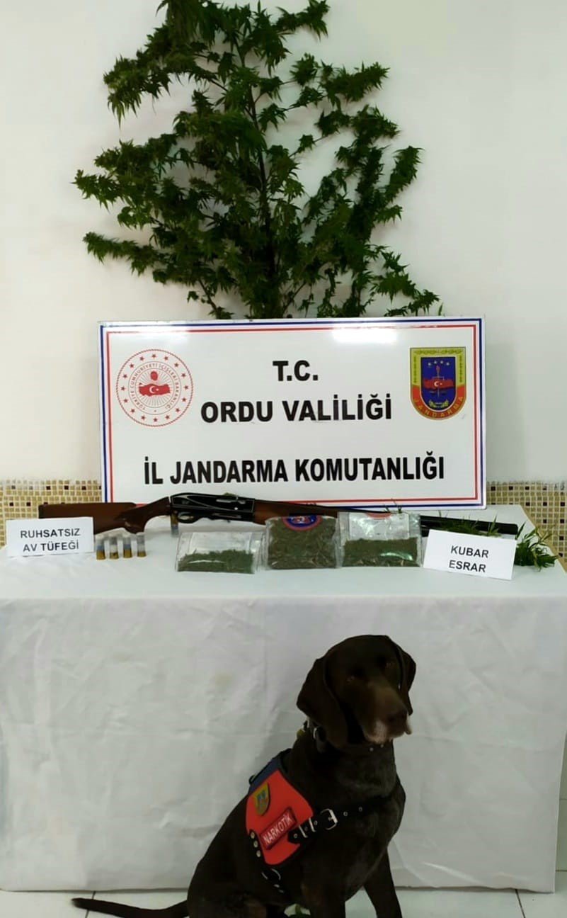 JANDARMADAN KENEVİR OPERASYONU