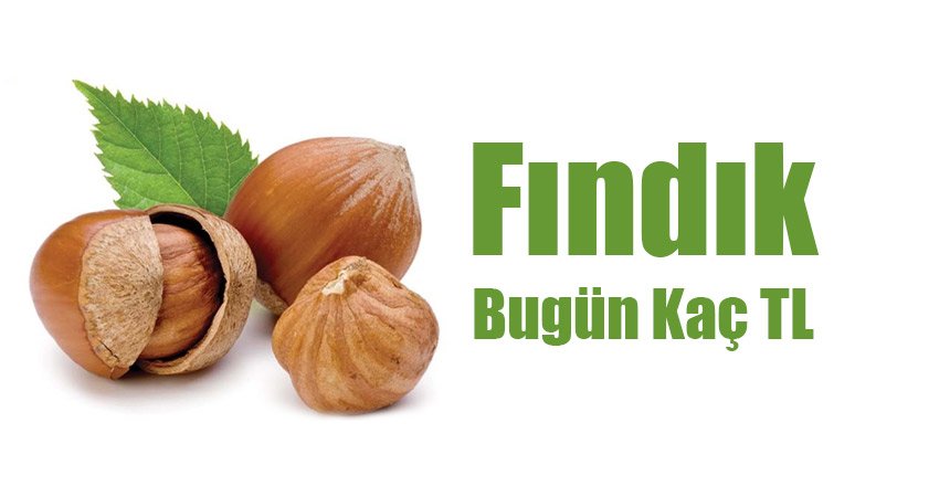 Fındık Bugün Kaç TL