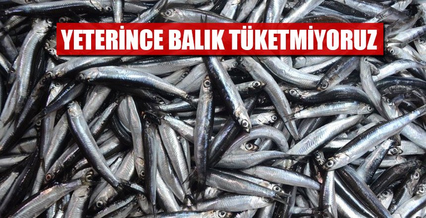 YETERİNCE BALIK TÜKETMİYORUZ