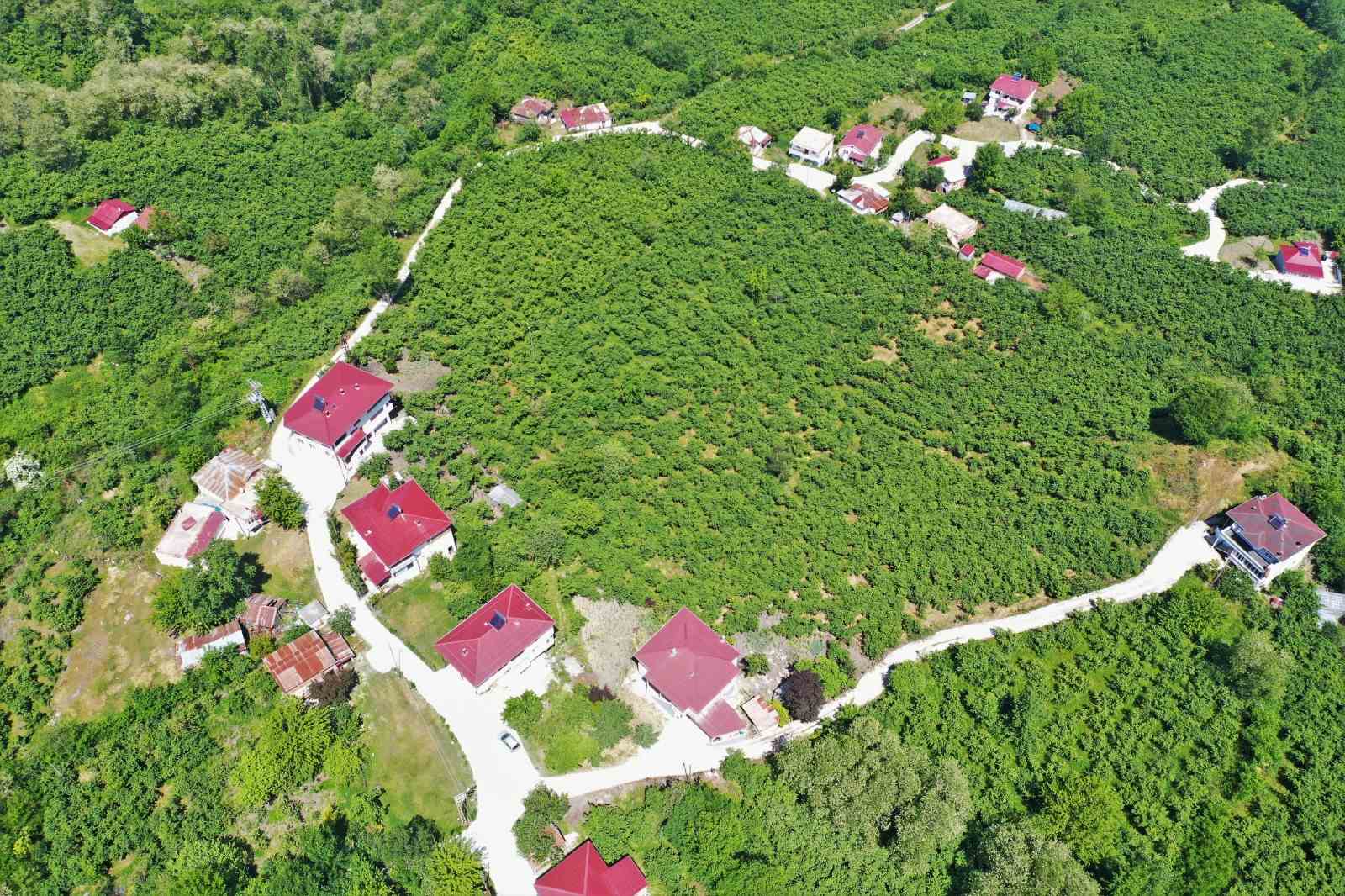 41 MAHALLE 308 SOKAK BETON YOL KONFORUNA KAVUŞTU