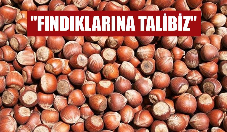 "Fındıklarına Talibiz"