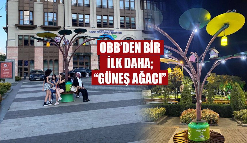OBB’den bir ilk daha; “GÜNEŞ AĞACI”