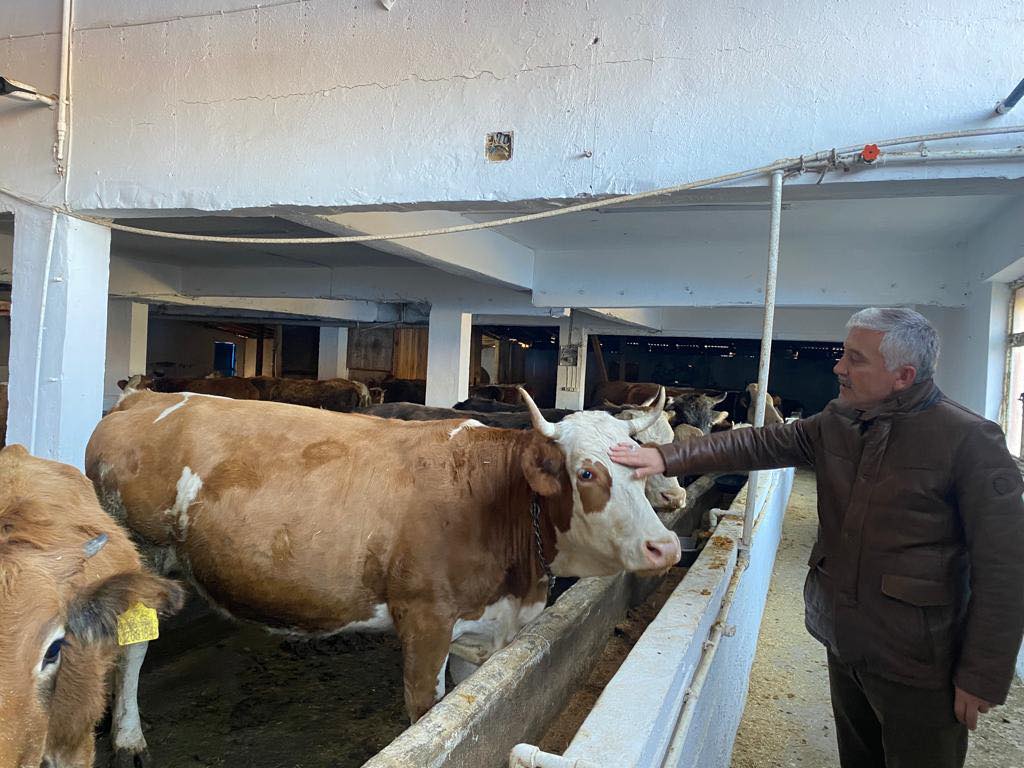 HAYVAN BAKIM VE İNEK KİRALAMA OTELİ KIŞA HAZIR
