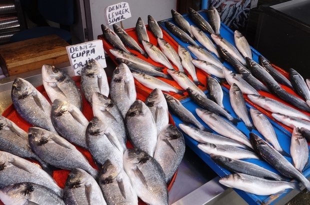 ÇEŞİT ÇEŞİT BALIKLAR İŞTAH KABARTIYOR