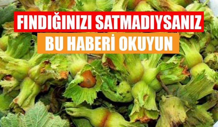 FINDIĞINIZI SATMADIYSANIZ BU HABERİ OKUYUN