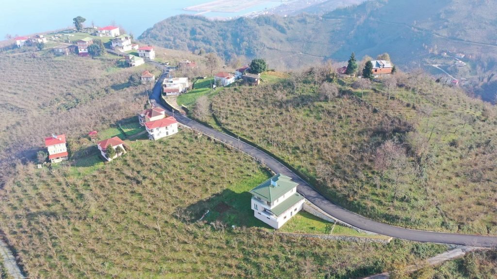 ordu gülyalı