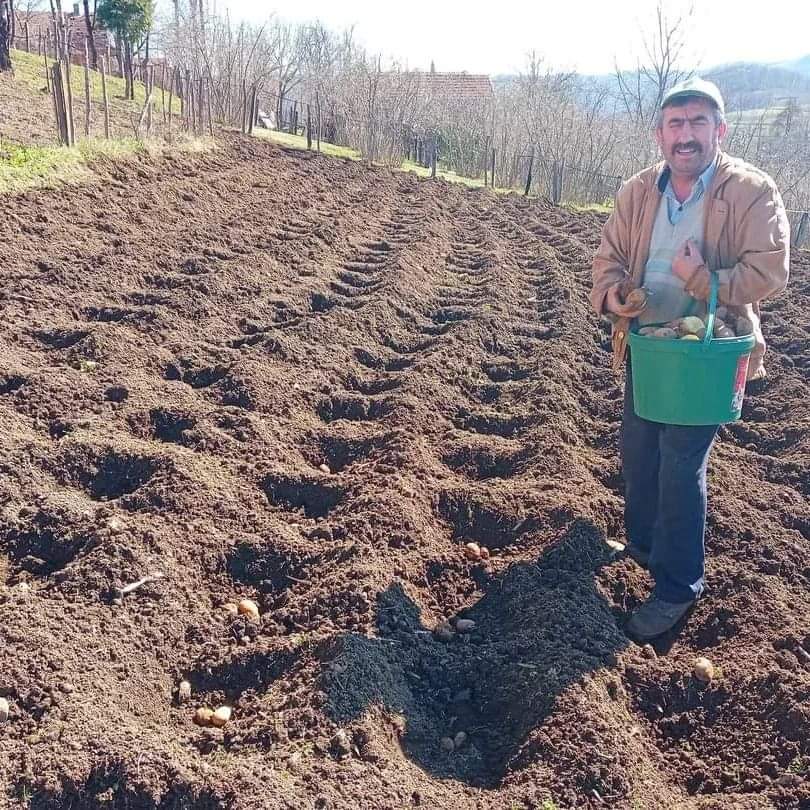 ORDU’DA EKİMİ BAŞLADI