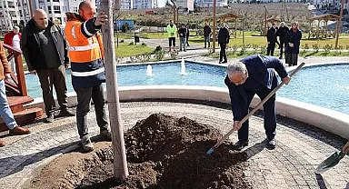 BÜYÜKŞEHİRDEN 'YEŞİL SEFERBERLİK'