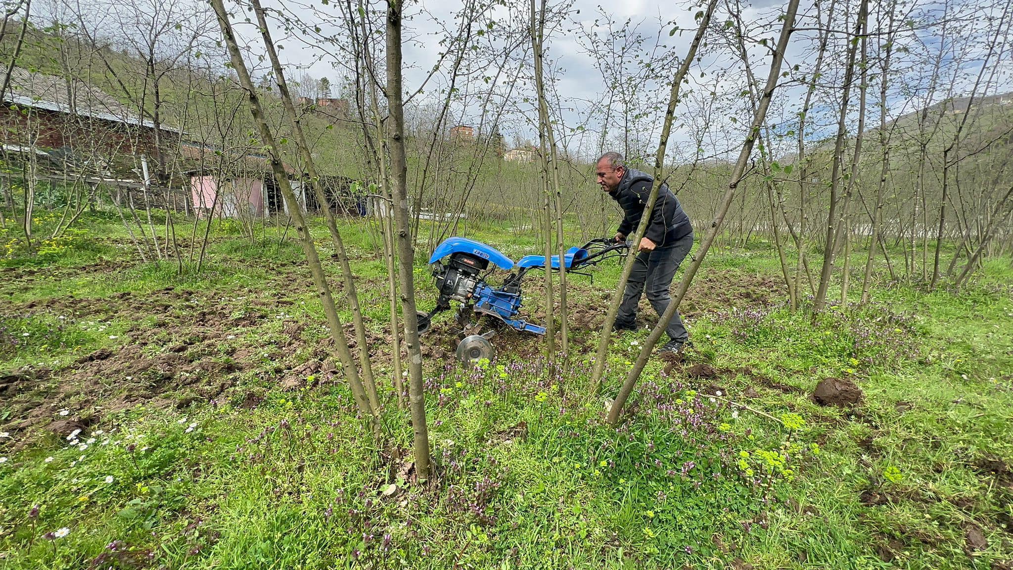 VALİ SONEL GÜBRE ATTI, ÇAPA YAPTI
