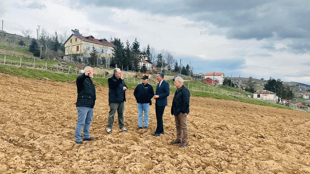 PATATES ÜRETİMİNE DESTEK VERECEK