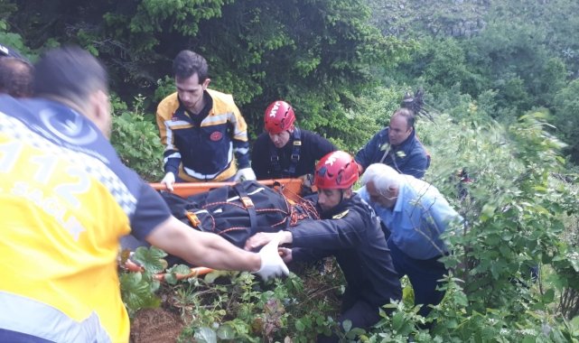 Artvin'de yayla yolunda uçuruma yuvarlanan kamyonetin sürücüsü öldü
