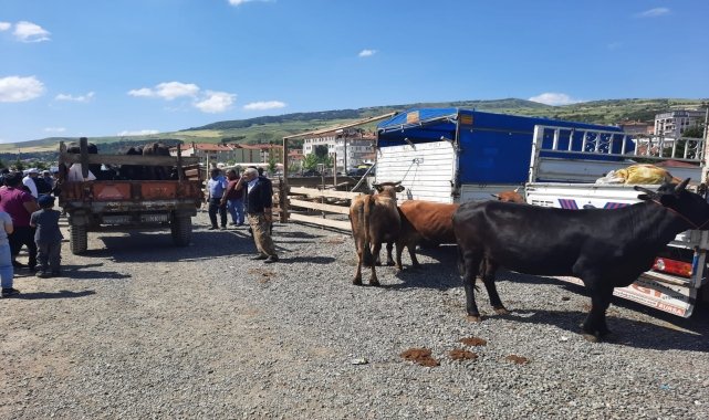 Bayat Hayvan Pazarı yeniden açıldı