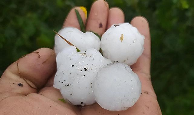 CEVİZ BÜYÜKLÜĞÜNDE DOLU