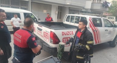 Düzce'de park halindeki minibüse giren yılanı itfaiye ekibi çıkardı
