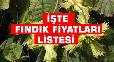 İŞTE FINDIK FİYATLARI LİSTESİ 