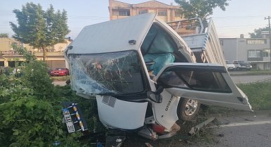 Kamyonet ağaca çarptı 2 kişi yaralandı