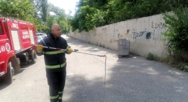 Karabük'te okulun bahçesine giren yılan itfaiye ekiplerince yakalandı