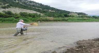 Kastamonu'da atıl araziye deneme amaçlı çeltik ekildi