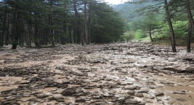 Kastamonu'nun Tosya ilçesinde yağış etkili oldu