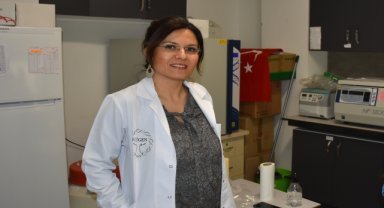 KTÜ'de arı zehrine yönelik TÜBİTAK destekli proje yürütülüyor
