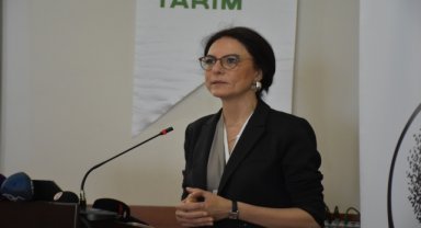 Ordu'da fındıkta iyi tarım uygulamaları yaygınlaşıyor