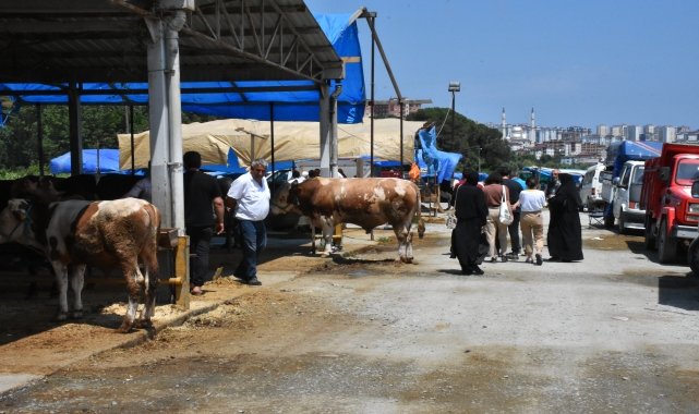 Ordu'da kurban pazarları ve kesim yerlerinde hareketlilik sürdü