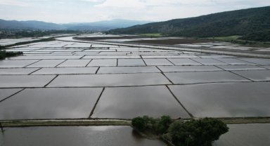 Pirinçte marka olan Osmancık'ta çeltik ekiminde maliyet dronla düşürülüyor 