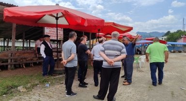 Salıpazarı'nda kurbanlıklar sahiplerini bekliyor