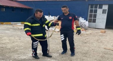 Tokat'ta iş yerine giren yılan itfaiye tarafından yakalanarak doğaya salındı