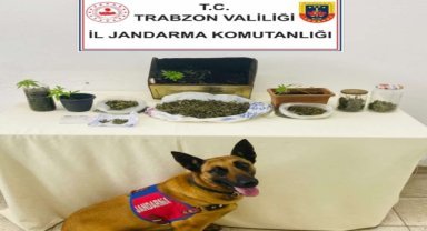 Trabzon'da uyuşturucu operasyonunda 1 kişi gözaltına alındı