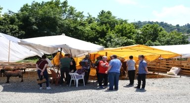 Trabzon ve Giresun'da kurban pazarları ve kesim yerlerinde yoğunluk yaşanıyor