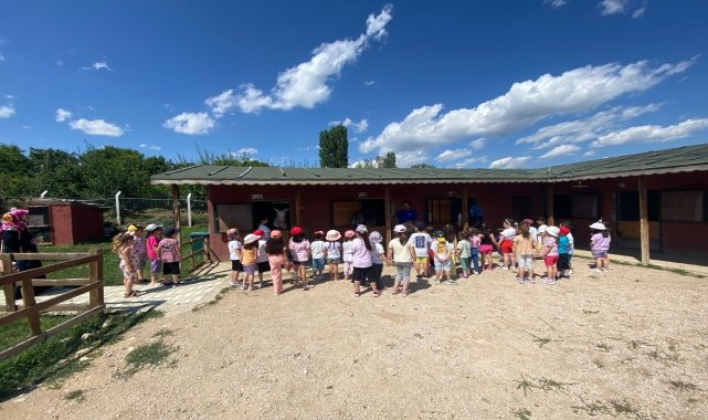 Amasya'da anaokulu öğrencileri at çiftliğini ziyaret etti