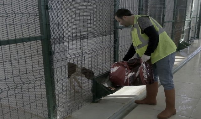Amasya'da kurulan tesiste hayvan hastanesi de oluşturuluyor