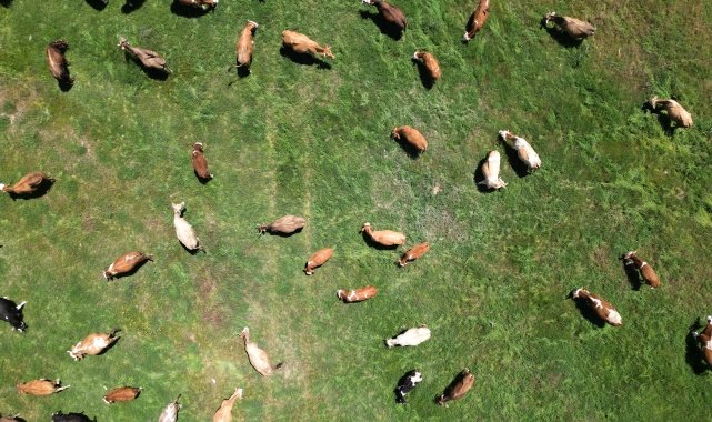 Bayburt'ta 400 dekar atıl arazi ekonomiye kazandırıldı