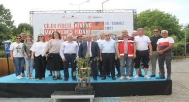 Çarşamba'da üreticilere kivi fidanı dağıtıldı
