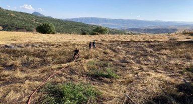 Giresun'da buğday ekili tarla yandı 