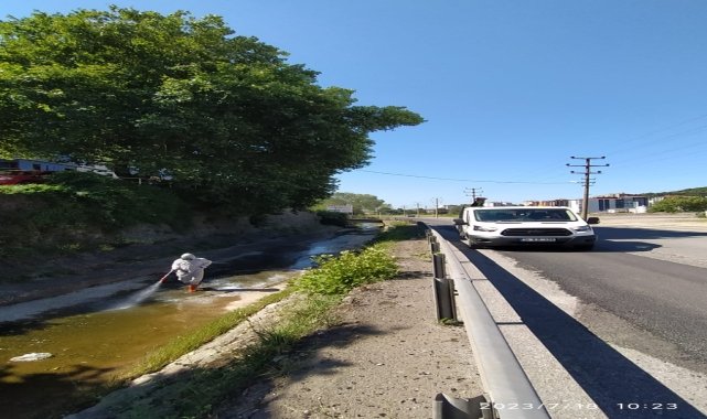 Karadeniz Ereğli'de dere yatakları ve sulak alanlar ilaçlanıyor