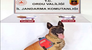 Ordu'da uyuşturucu operasyonlarında bir kişi tutuklandı