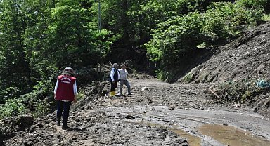 Ordu'da heyelanlardan zarar gören fındık bahçelerinde hasar tespiti başladı